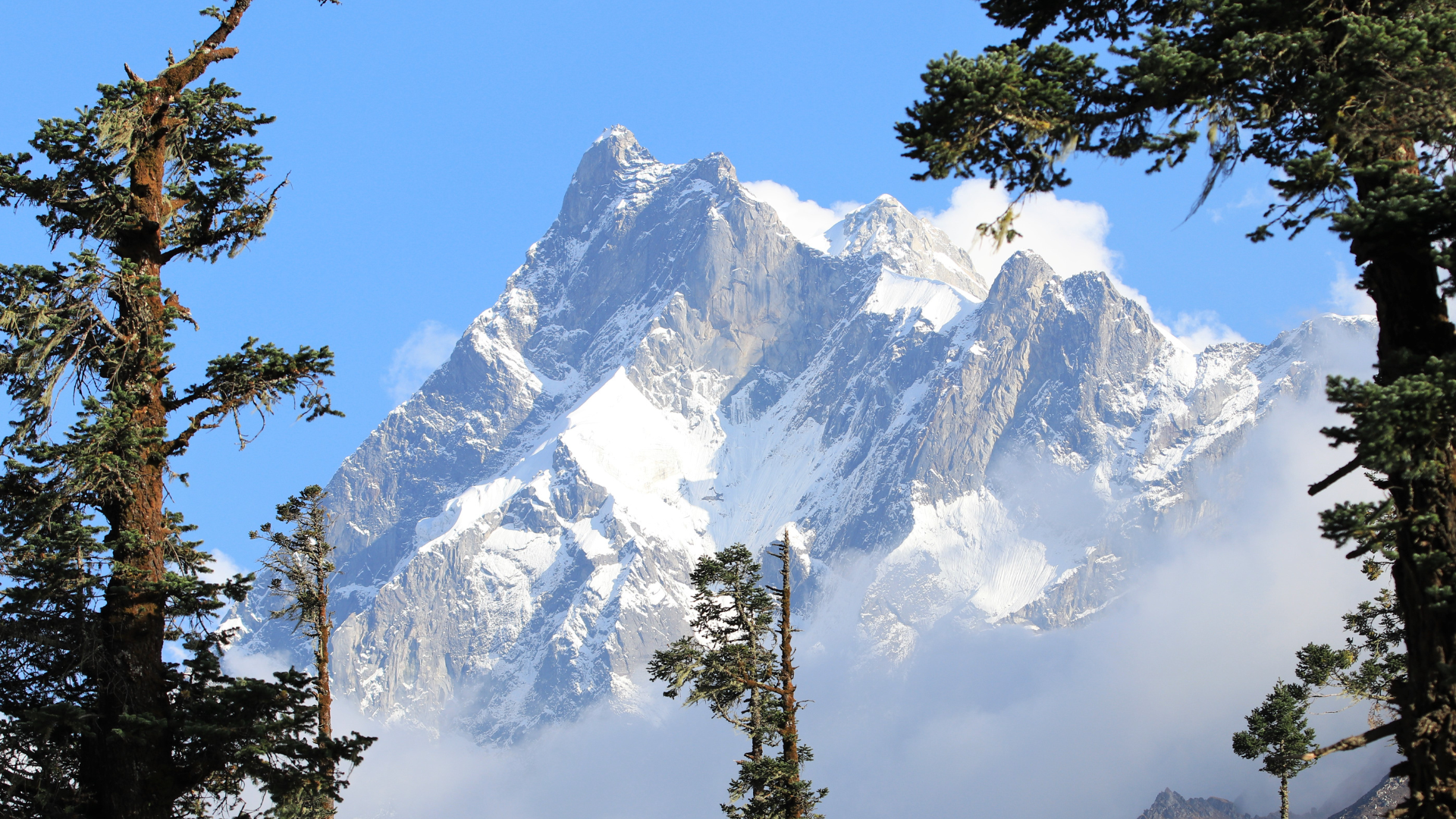 Stok Kangri Summit Trek