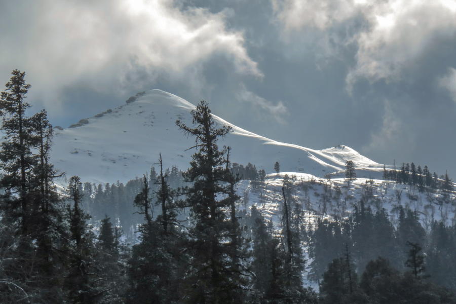 Kedarkantha Summit Trek