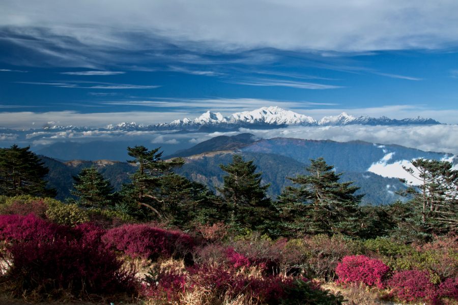 Sandakphu Trek