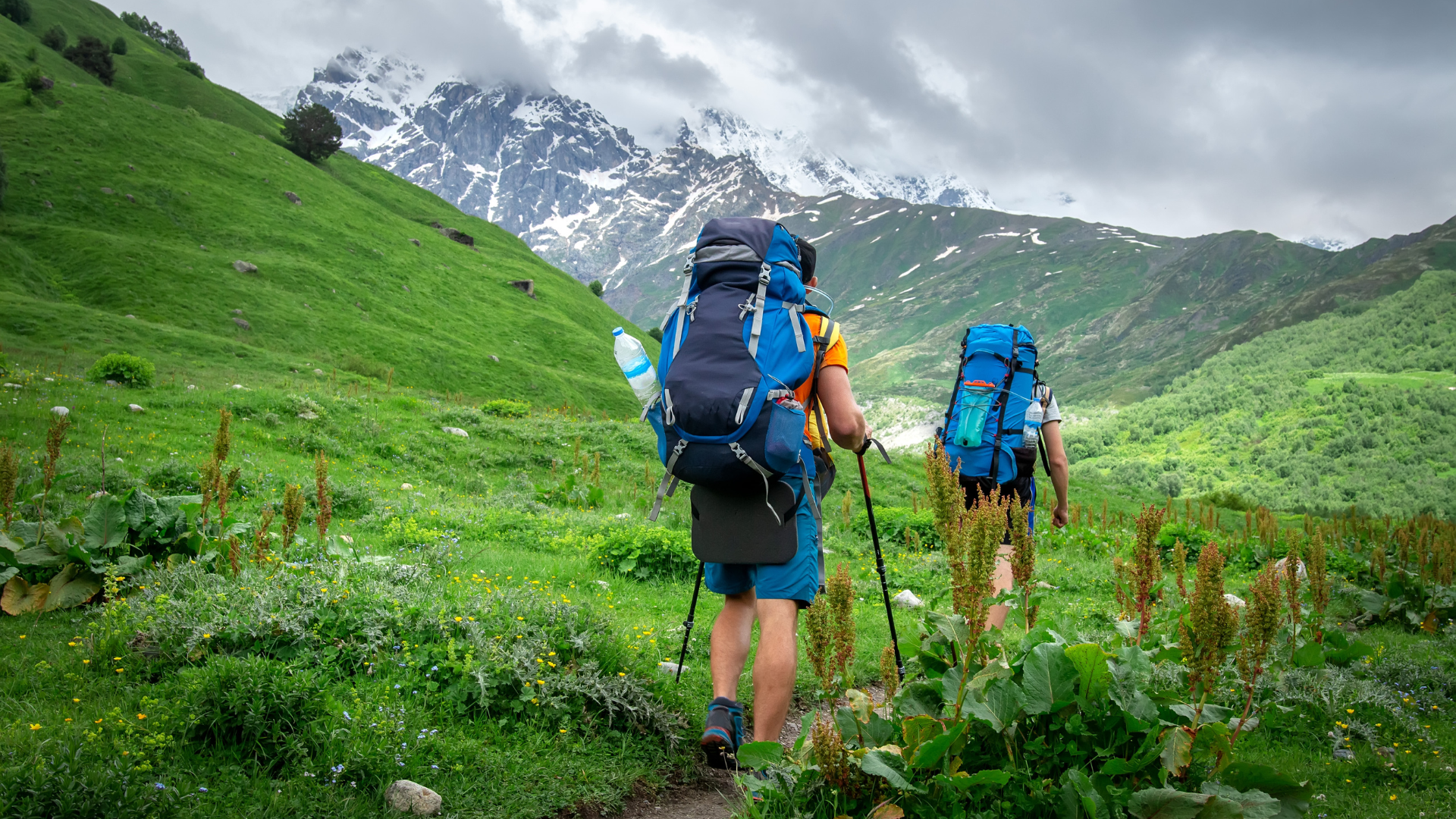 Valley of Flowers & Hemkund Sahib Trek