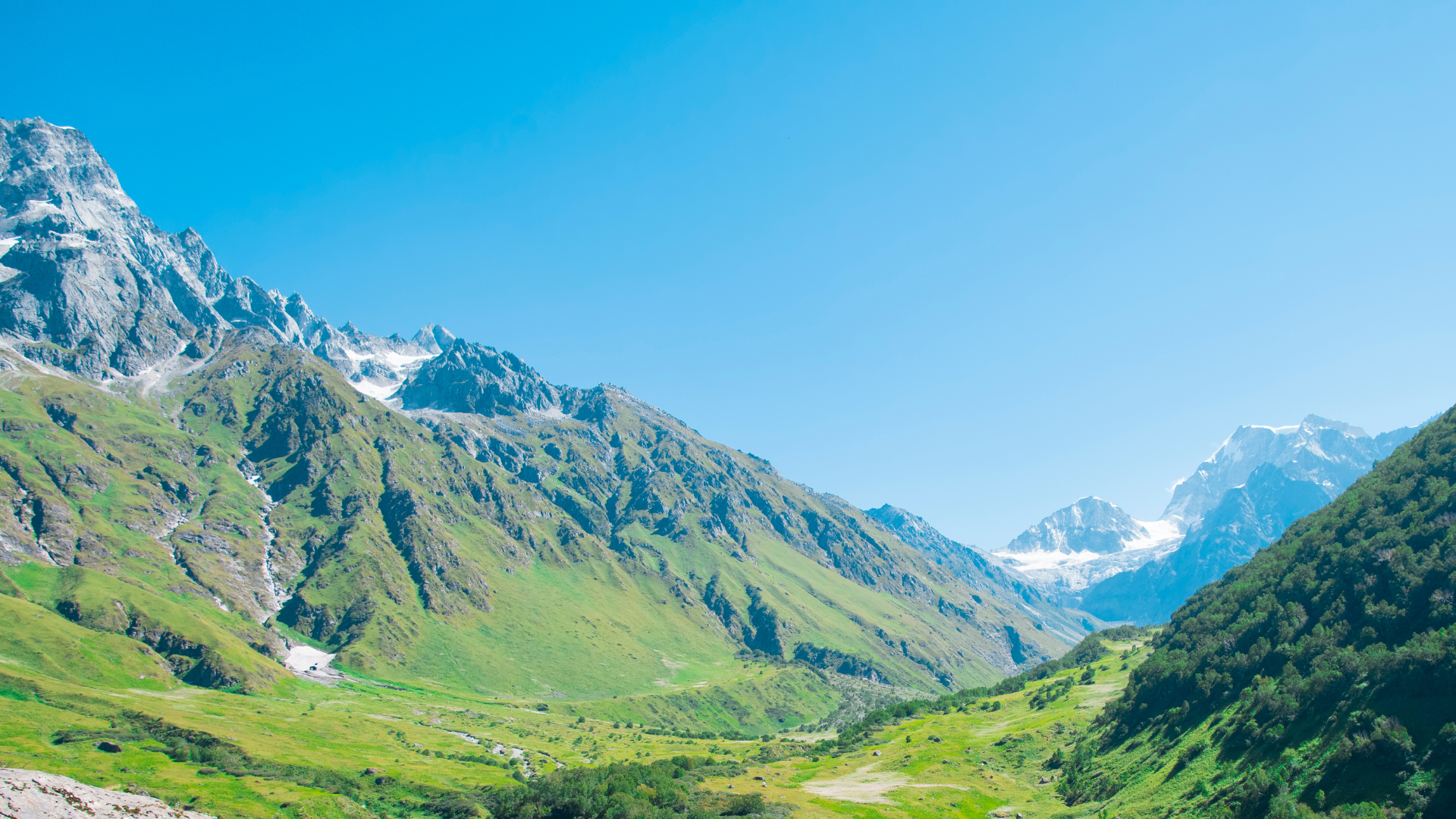 Valley of Flowers & Hemkund Sahib Trek