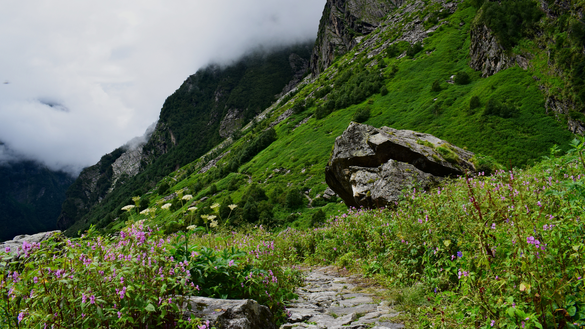 Valley of Flowers & Hemkund Sahib Trek