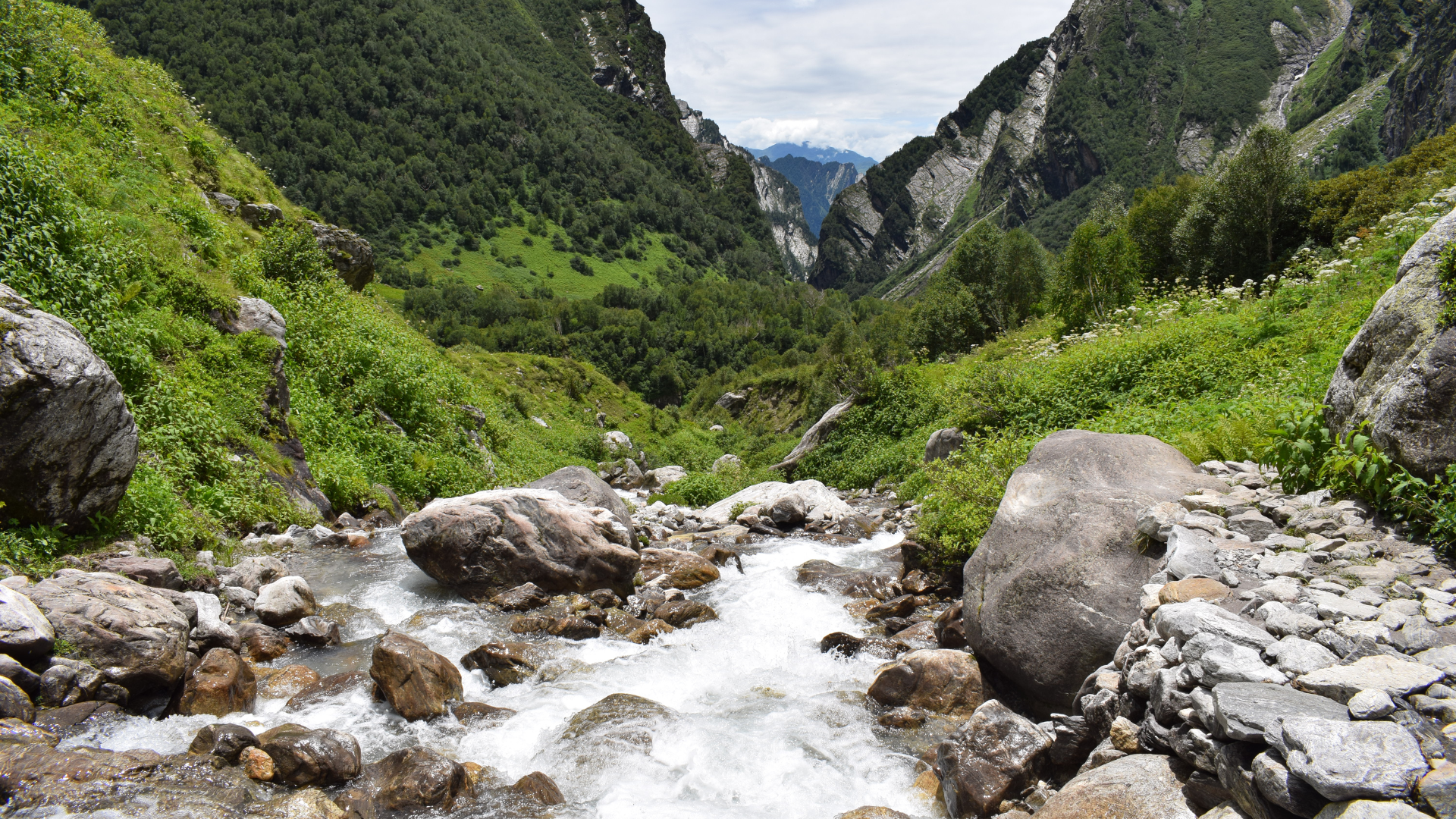 Valley of Flowers & Hemkund Sahib Trek