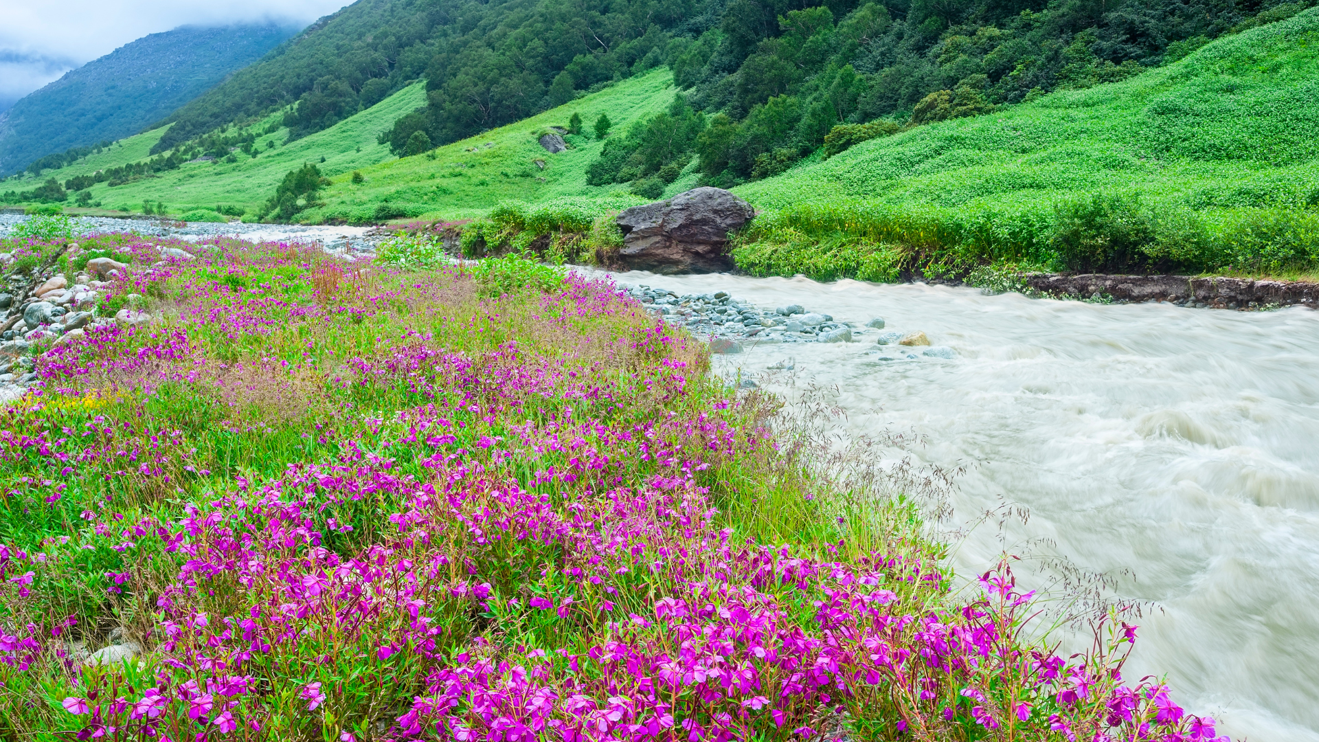 Valley of Flowers & Hemkund Sahib Trek