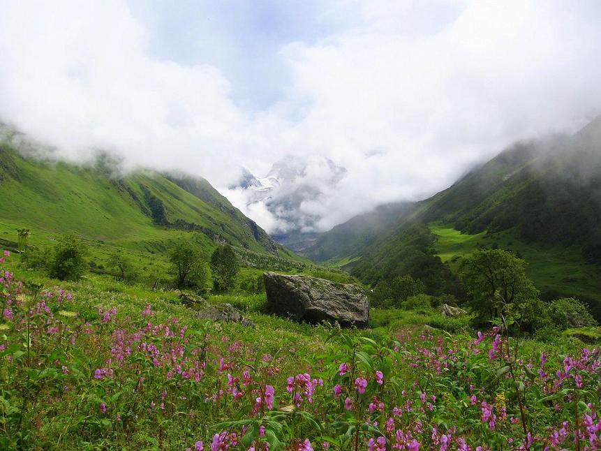 Valley of Flowers & Hemkund Sahib Trek