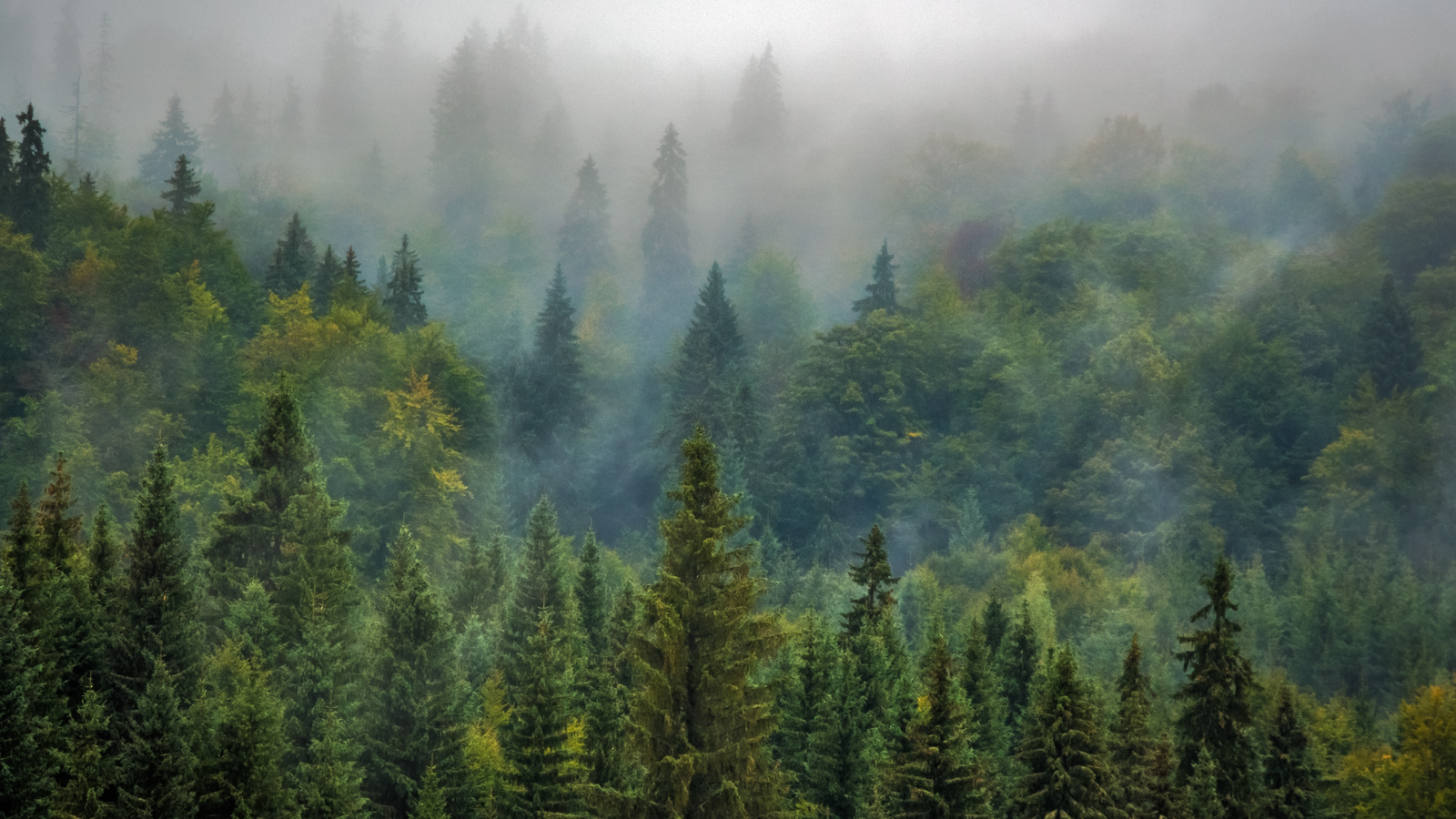 Dhotrey-Tolung-Tumling Trek: A Serene Himalayan Escape