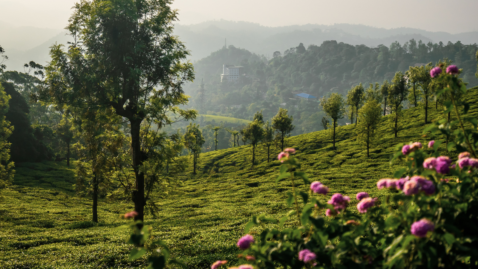 Dhotrey-Tolung-Tumling Trek: A Serene Himalayan Escape