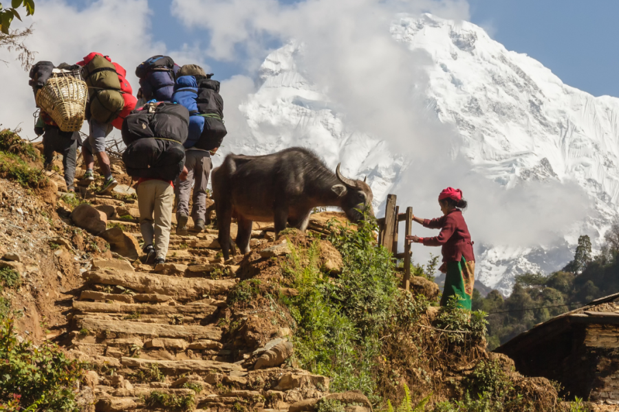 Poon Hill and Annapurna Base Camp Trek – A Himalayan Journey of Two Iconic Trails